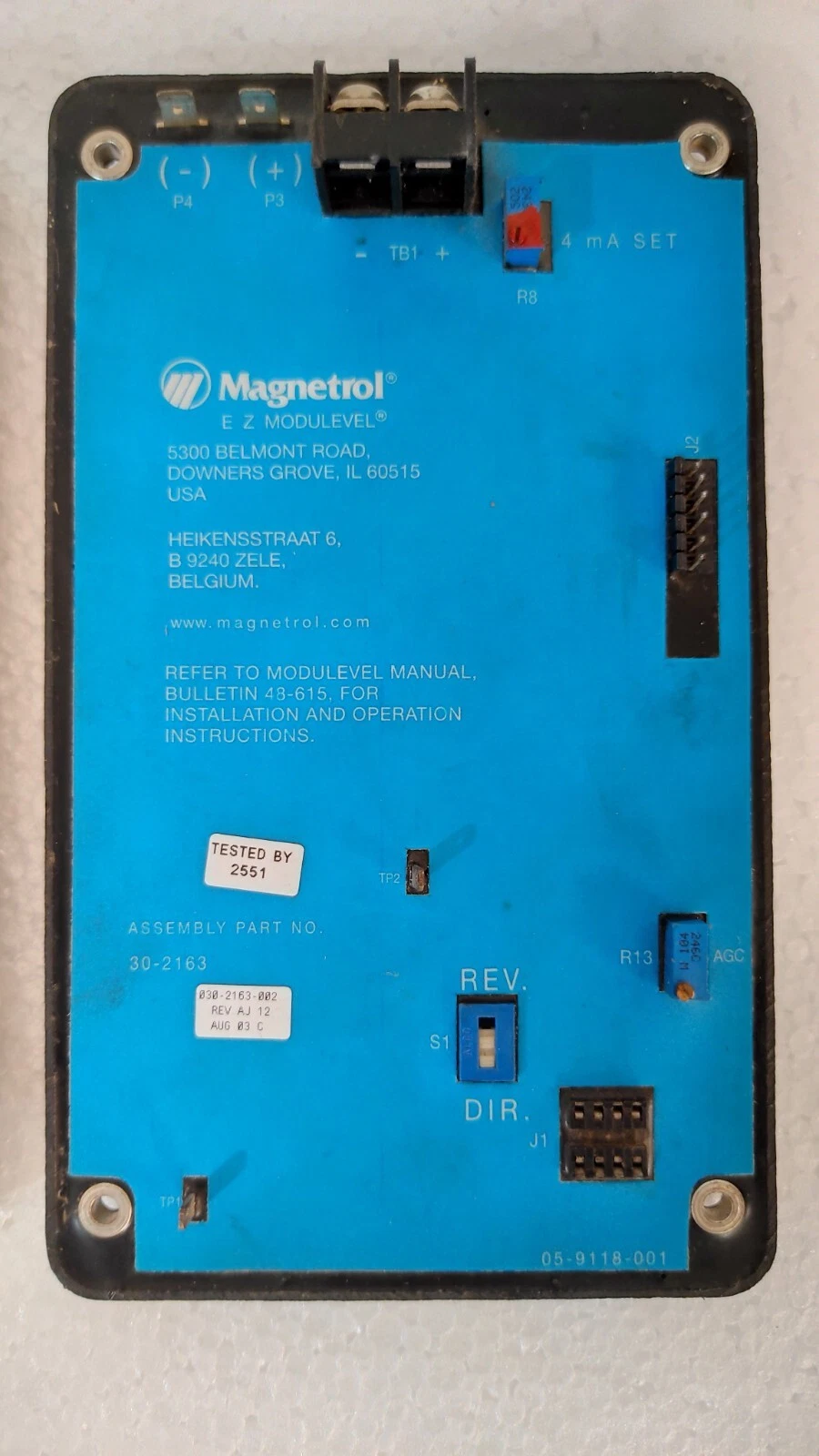 Magnetrol 30-030-2163-001 E Z Modulevel